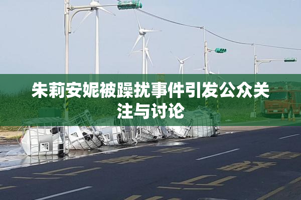 朱莉安妮被躁扰事件引发公众关注与讨论