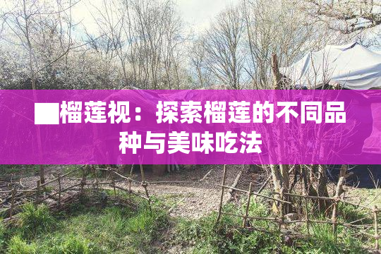 ▇榴莲视：探索榴莲的不同品种与美味吃法