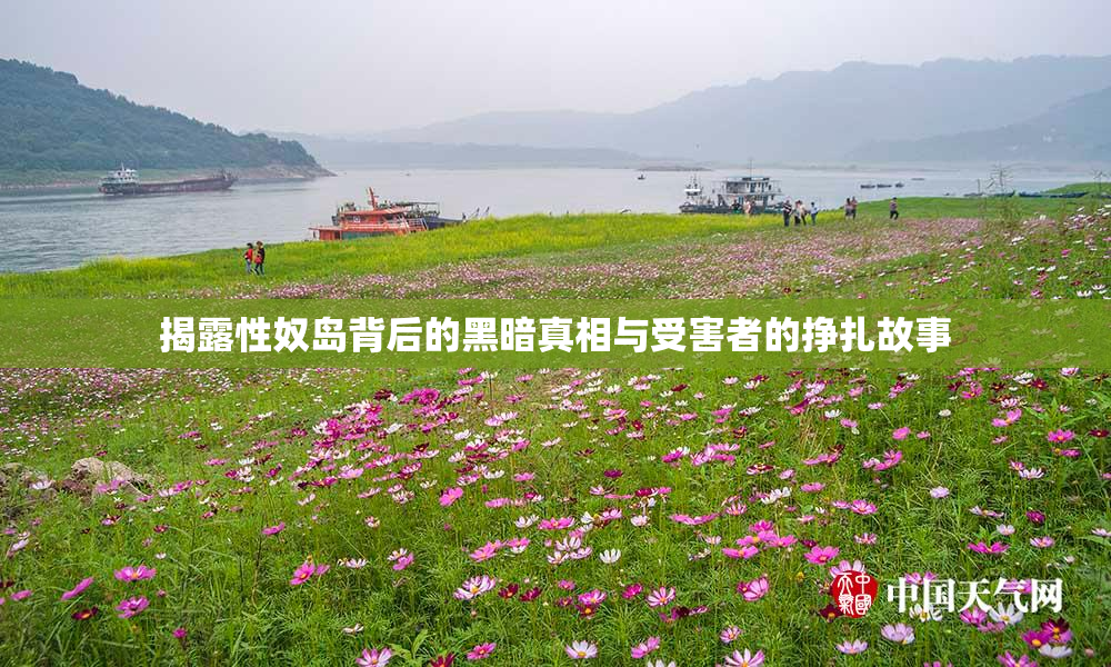 揭露性奴岛背后的黑暗真相与受害者的挣扎故事