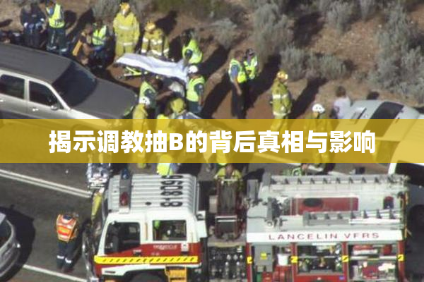 揭示调教抽B的背后真相与影响