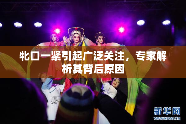 牝口一紧引起广泛关注，专家解析其背后原因