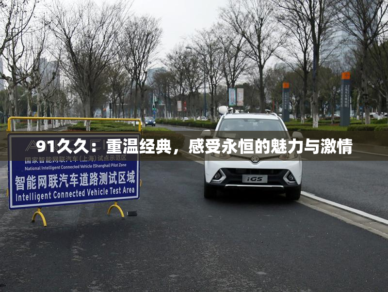 91久久：重温经典，感受永恒的魅力与激情