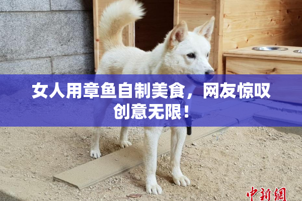 女人用章鱼自制美食，网友惊叹创意无限！