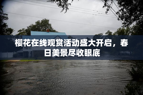 樱花在线观赏活动盛大开启，春日美景尽收眼底