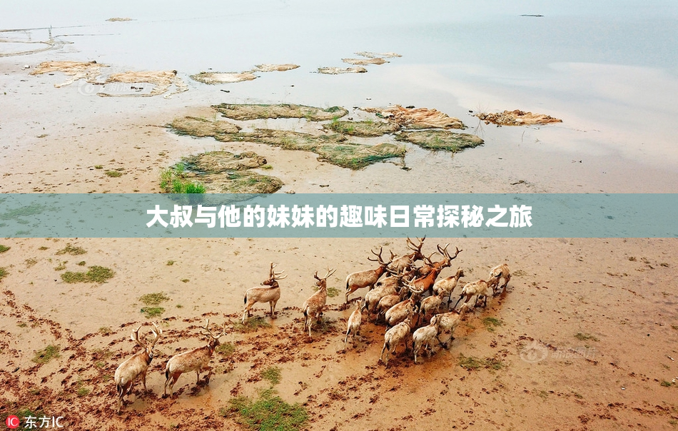 大叔与他的妹妹的趣味日常探秘之旅