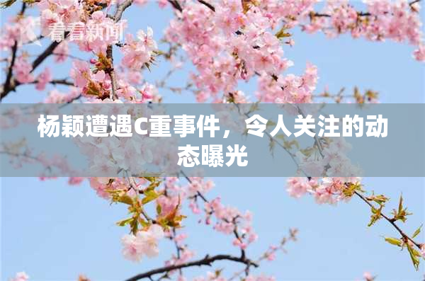 杨颖遭遇C重事件，令人关注的动态曝光