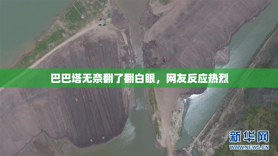 巴巴塔无奈翻了翻白眼，网友反应热烈