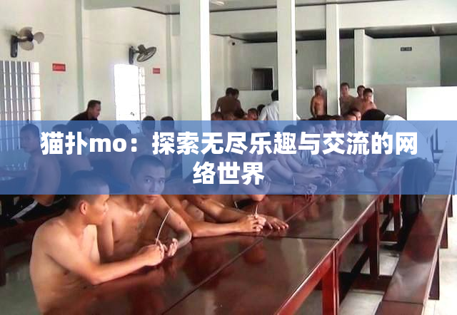 猫扑mo：探索无尽乐趣与交流的网络世界