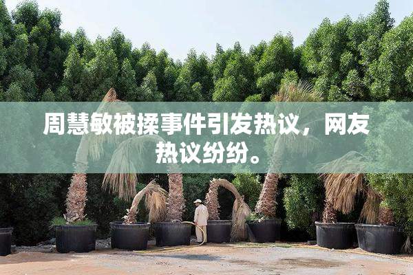 周慧敏被揉事件引发热议，网友热议纷纷。