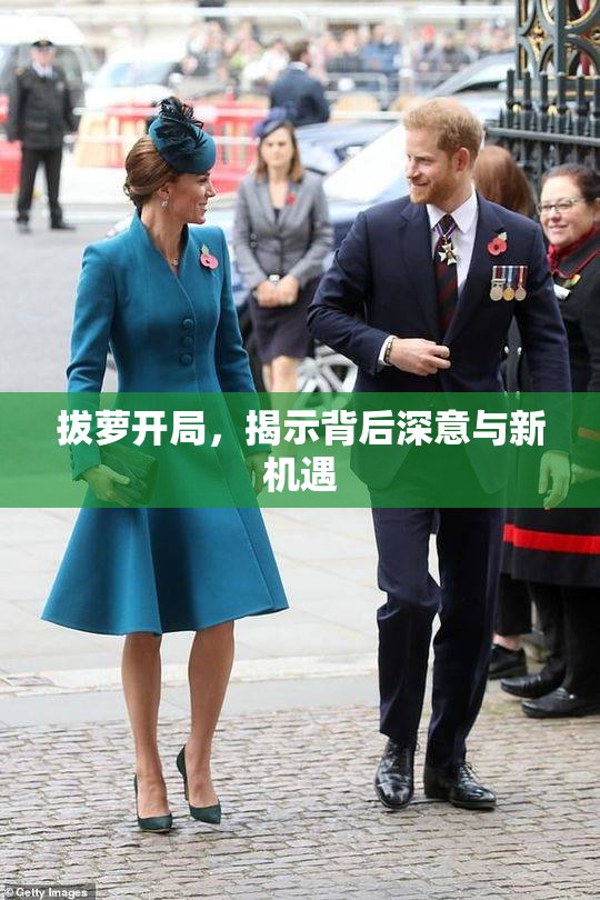 拔萝开局，揭示背后深意与新机遇