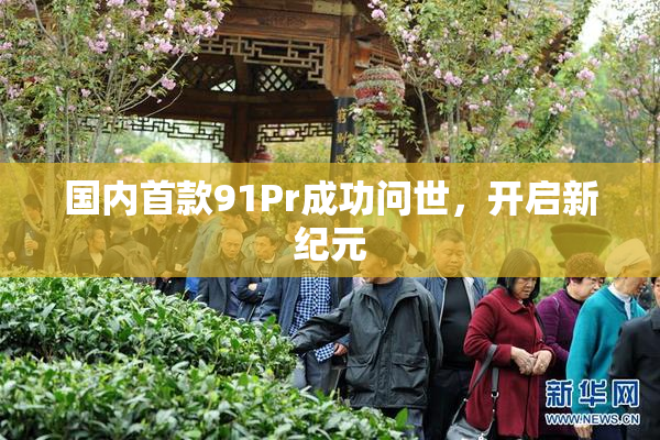 国内首款91Pr成功问世，开启新纪元