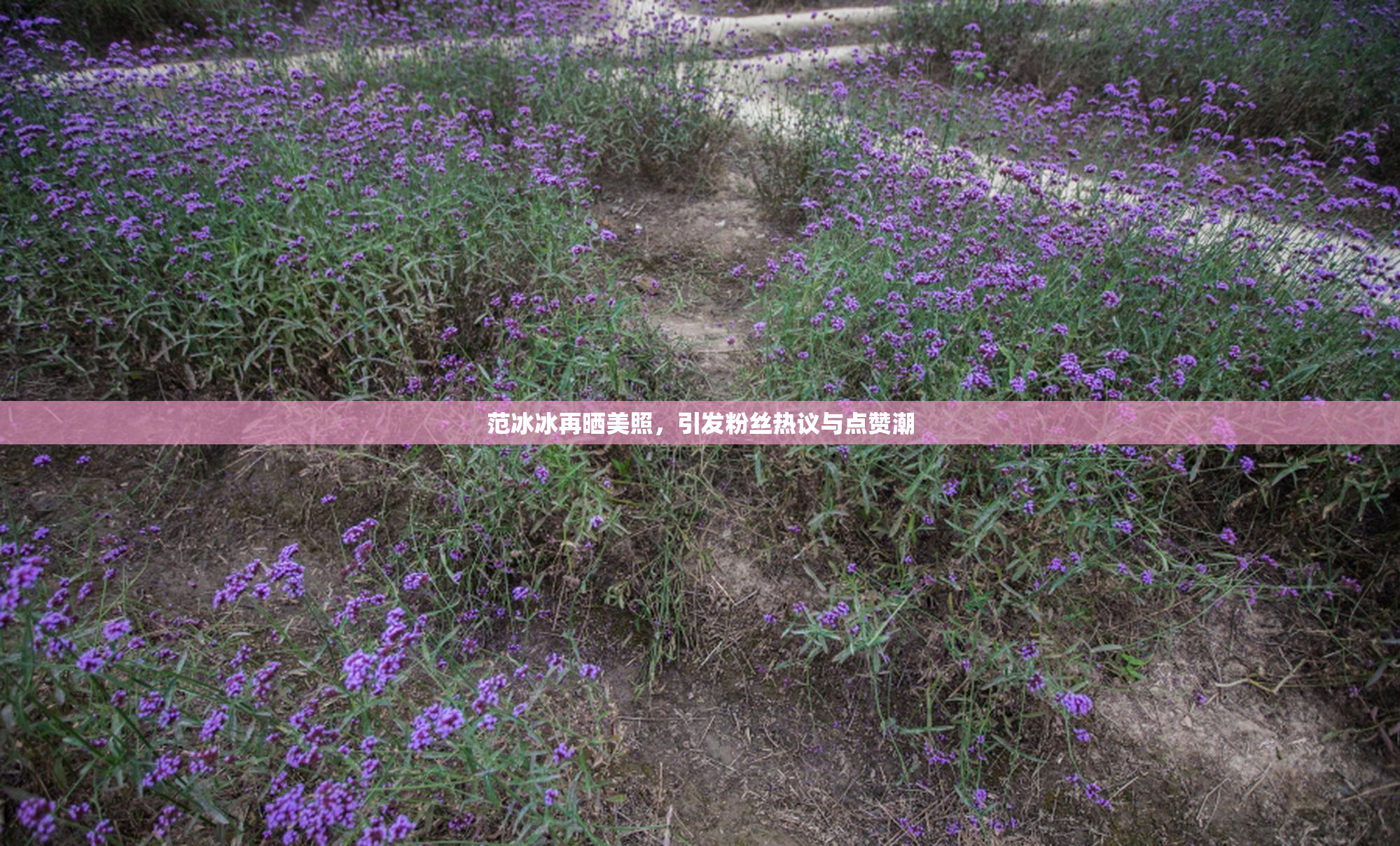 范冰冰再晒美照，引发粉丝热议与点赞潮
