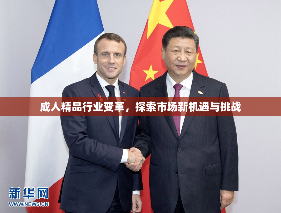 成人精品行业变革，探索市场新机遇与挑战