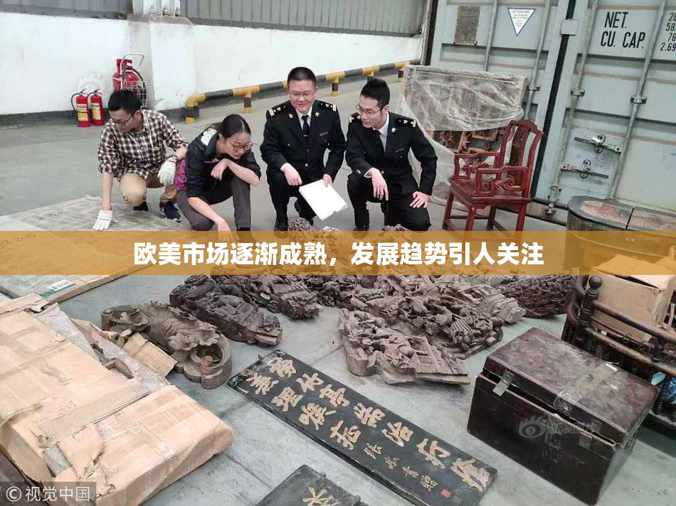欧美市场逐渐成熟，发展趋势引人关注