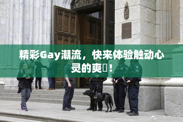 精彩Gay潮流，快来体验触动心灵的爽擼！