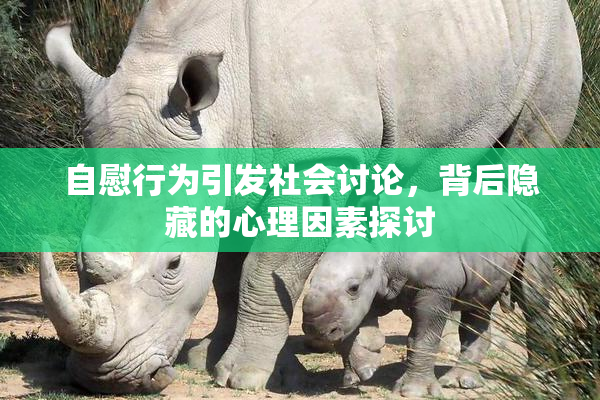 自慰行为引发社会讨论，背后隐藏的心理因素探讨