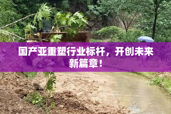 国产亚重塑行业标杆，开创未来新篇章！