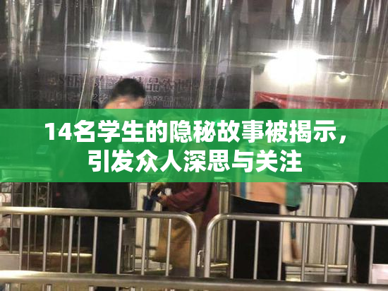 14名学生的隐秘故事被揭示，引发众人深思与关注
