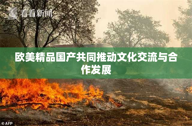欧美精品国产共同推动文化交流与合作发展