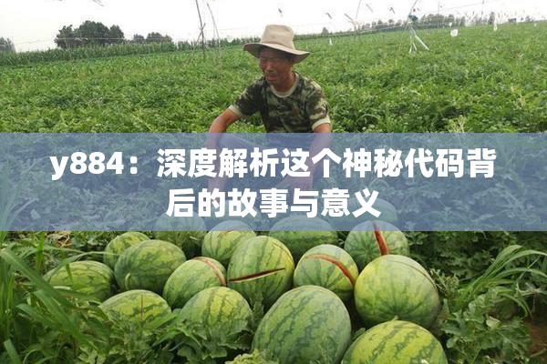 y884：深度解析这个神秘代码背后的故事与意义