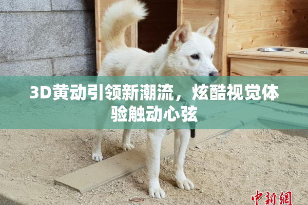 3D黄动引领新潮流，炫酷视觉体验触动心弦