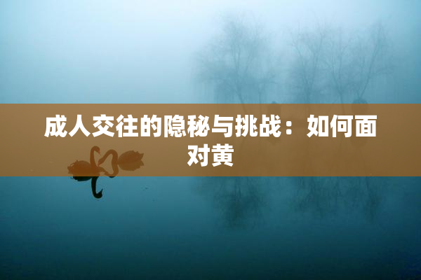 成人交往的隐秘与挑战：如何面对黄