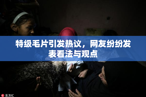 特级毛片引发热议，网友纷纷发表看法与观点