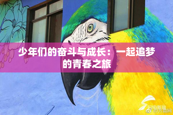 少年们的奋斗与成长：一起追梦的青春之旅