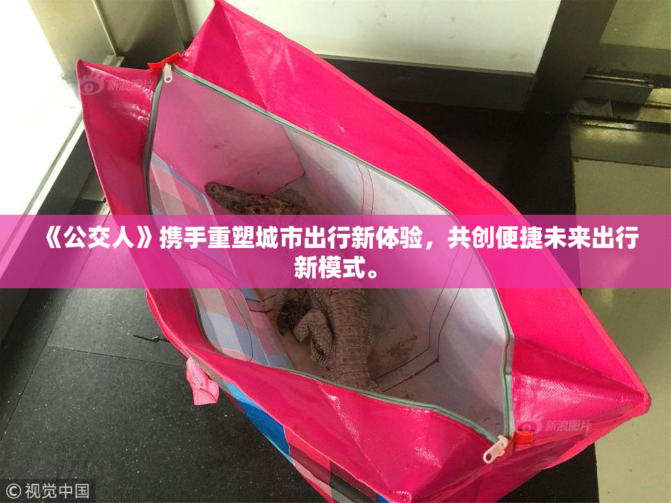 《公交人》携手重塑城市出行新体验，共创便捷未来出行新模式。