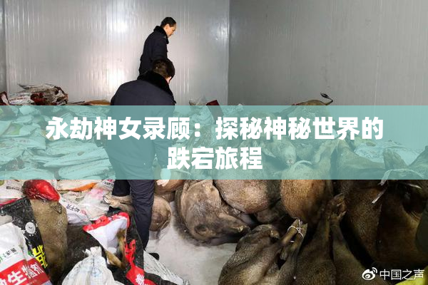 永劫神女录顾：探秘神秘世界的跌宕旅程