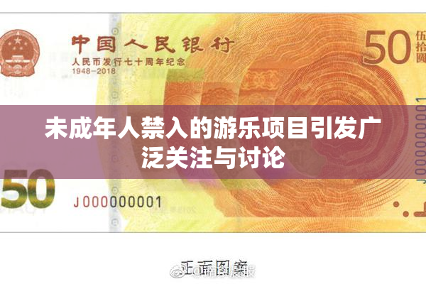 未成年人禁入的游乐项目引发广泛关注与讨论