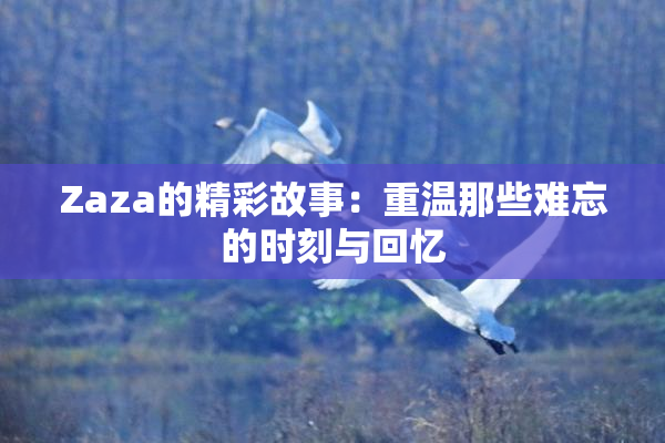 Zaza的精彩故事：重温那些难忘的时刻与回忆