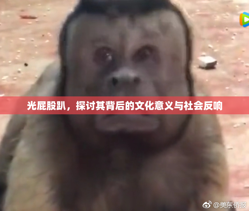 光屁股趴，探讨其背后的文化意义与社会反响