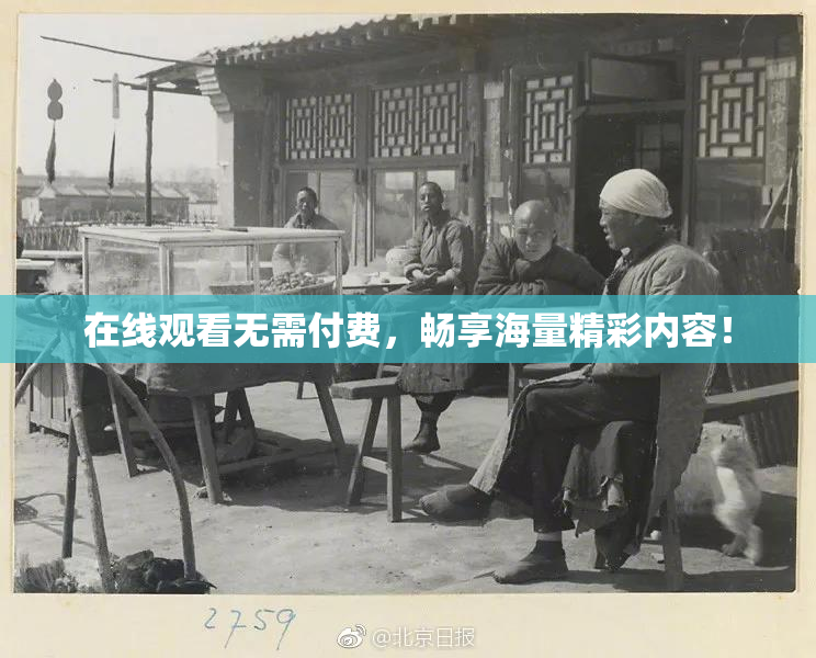 在线观看无需付费，畅享海量精彩内容！