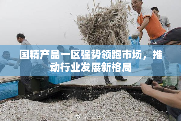 国精产品一区强势领跑市场，推动行业发展新格局