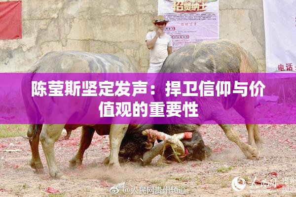 陈莹斯坚定发声：捍卫信仰与价值观的重要性