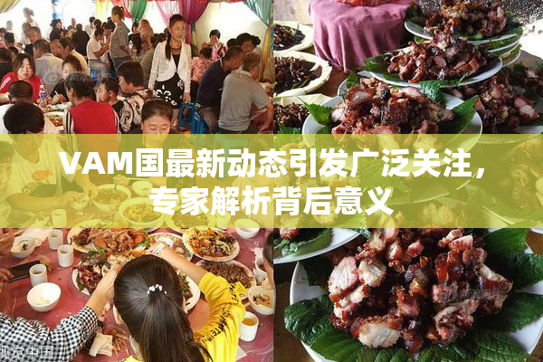 VAM国最新动态引发广泛关注，专家解析背后意义