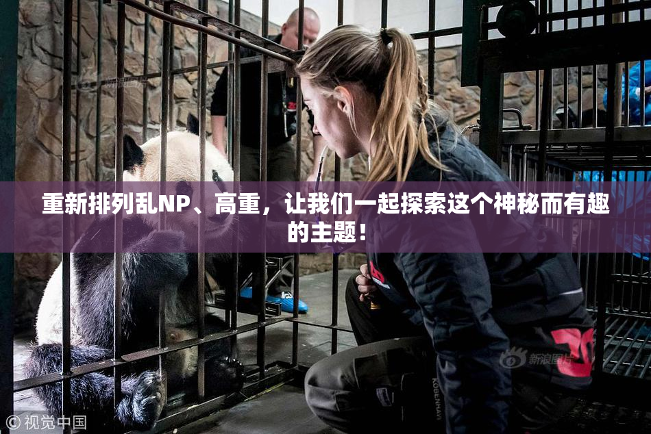 重新排列乱NP、高重，让我们一起探索这个神秘而有趣的主题！