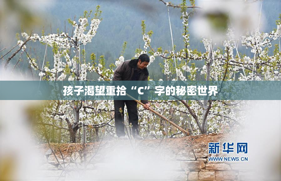 孩子渴望重拾“C”字的秘密世界