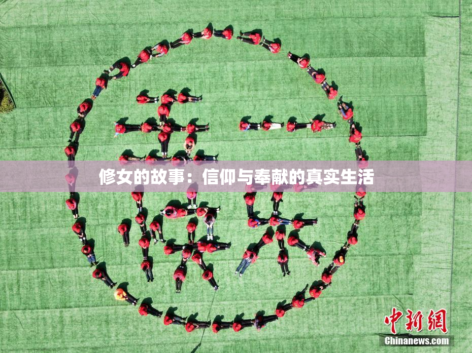 修女的故事：信仰与奉献的真实生活