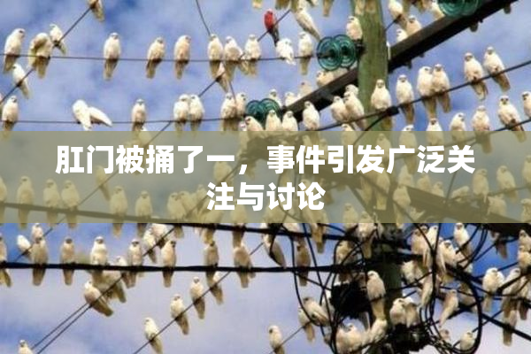 肛门被捅了一，事件引发广泛关注与讨论