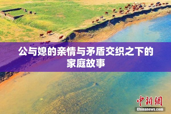 公与媳的亲情与矛盾交织之下的家庭故事