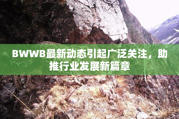 BWWB最新动态引起广泛关注，助推行业发展新篇章