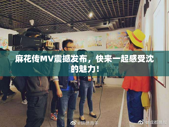 麻花传MV震撼发布，快来一起感受沈的魅力！