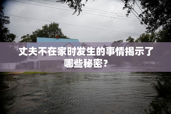 丈夫不在家时发生的事情揭示了哪些秘密？