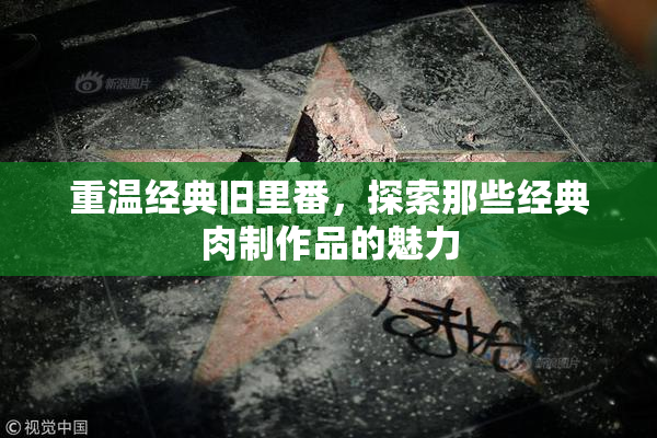 重温经典旧里番，探索那些经典肉制作品的魅力