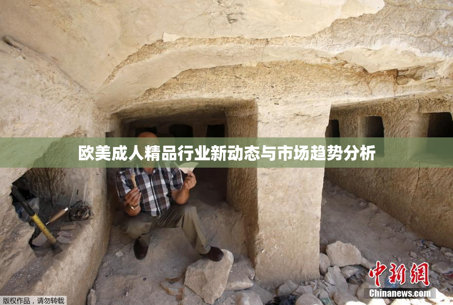 欧美成人精品行业新动态与市场趋势分析