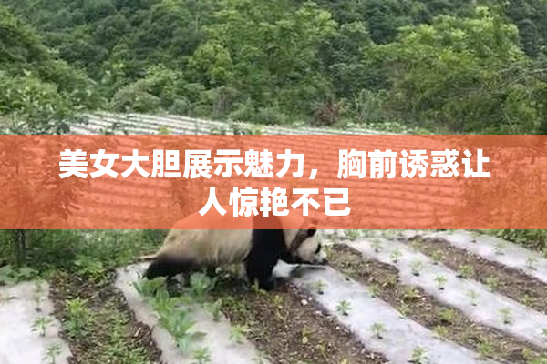 美女大胆展示魅力，胸前诱惑让人惊艳不已