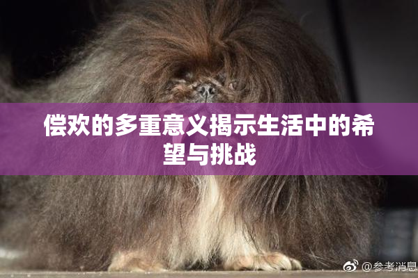 偿欢的多重意义揭示生活中的希望与挑战