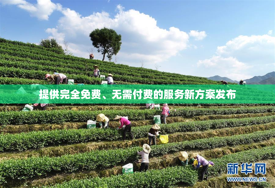 提供完全免费、无需付费的服务新方案发布